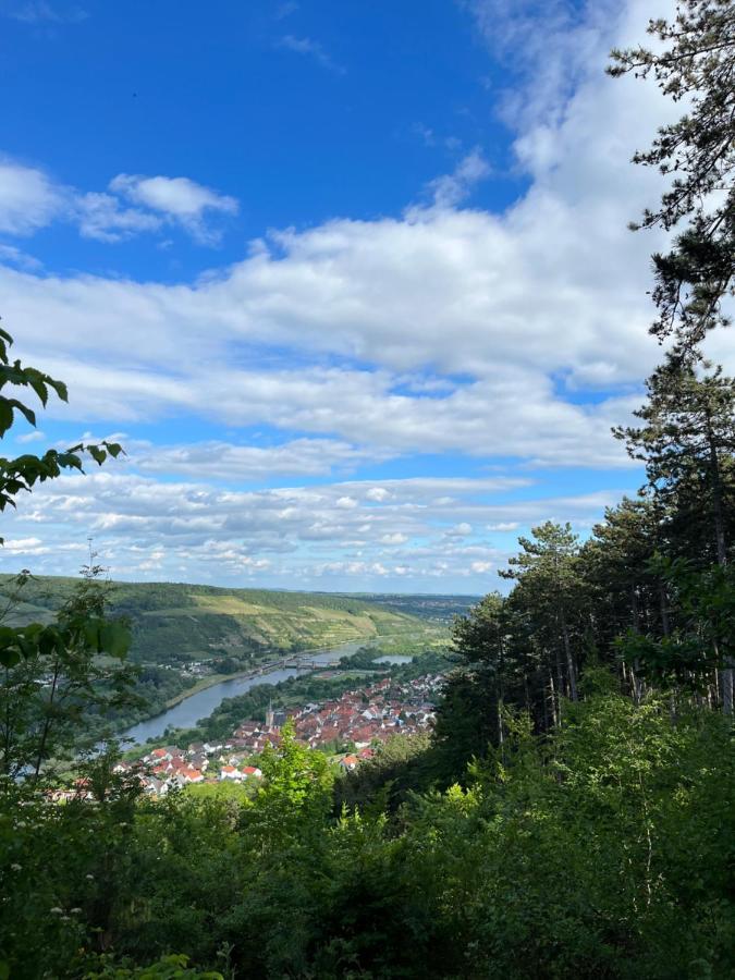 Maindrei - Schlafen Am Fluss Hotell Margetshöchheim Eksteriør bilde